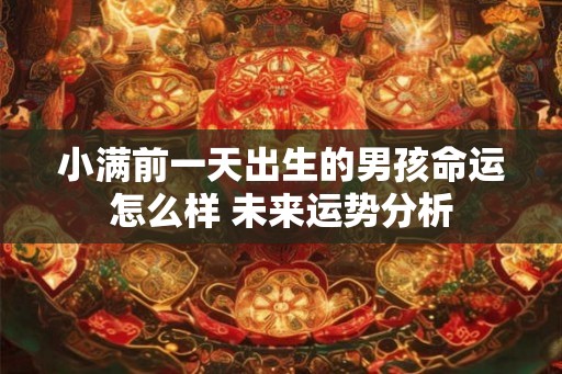小满前一天出生的男孩命运怎么样 未来运势分析