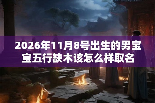 2026年11月8号出生的男宝宝五行缺木该怎么样取名