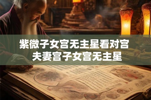紫微子女宫无主星看对宫  夫妻宫子女宫无主星