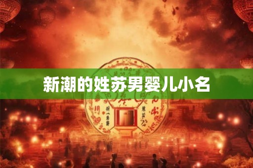 新潮的姓苏男婴儿小名 新潮的姓苏男婴儿小名