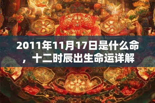 2011年11月17日是什么命，十二时辰出生命运详解