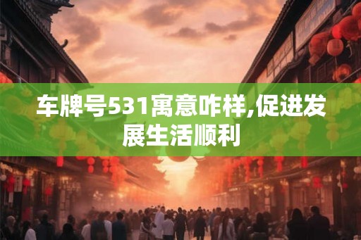 车牌号531寓意咋样,促进发展生活顺利