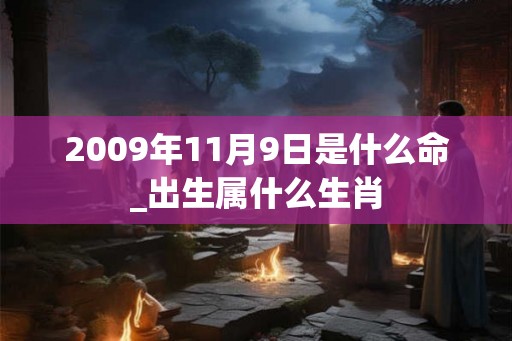 2009年11月9日是什么命_出生属什么生肖