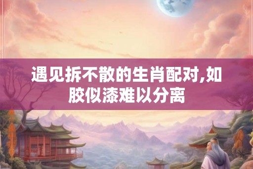 遇见拆不散的生肖配对,如胶似漆难以分离
