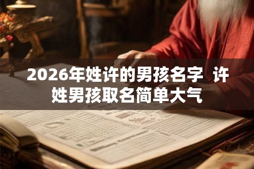 2026年姓许的男孩名字  许姓男孩取名简单大气