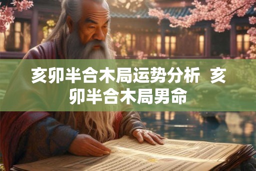 亥卯半合木局运势分析  亥卯半合木局男命