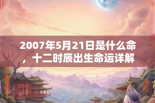 2007年5月21日是什么命，十二时辰出生命运详解