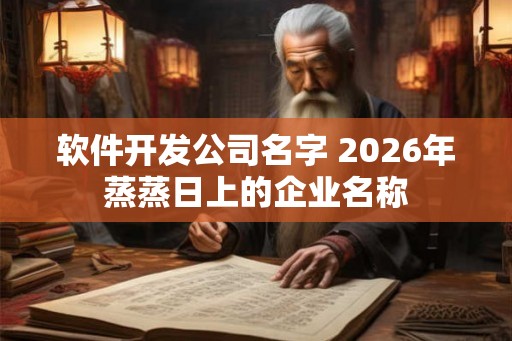 软件开发公司名字 2026年蒸蒸日上的企业名称