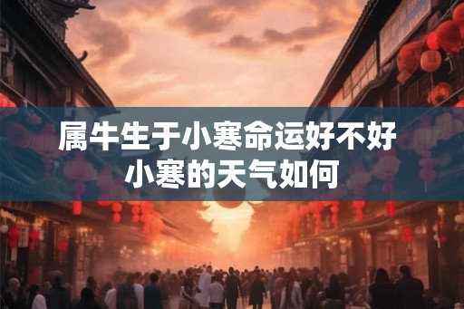 属牛生于小寒命运好不好 小寒的天气如何