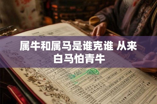 属牛和属马是谁克谁 从来白马怕青牛