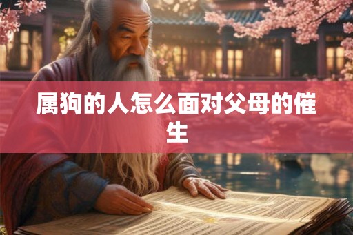 属狗的人怎么面对父母的催生
