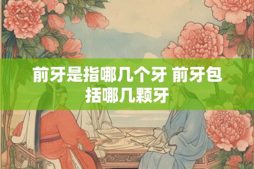 前牙是指哪几个牙 前牙包括哪几颗牙