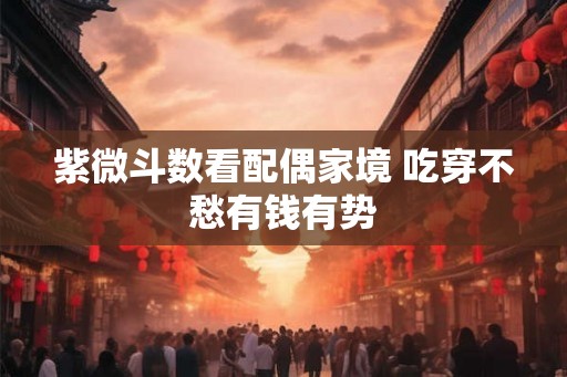 紫微斗数看配偶家境 吃穿不愁有钱有势