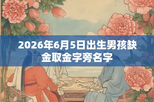 2026年6月5日出生男孩缺金取金字旁名字