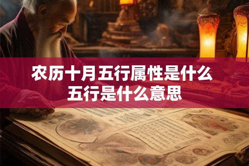 农历十月五行属性是什么 五行是什么意思