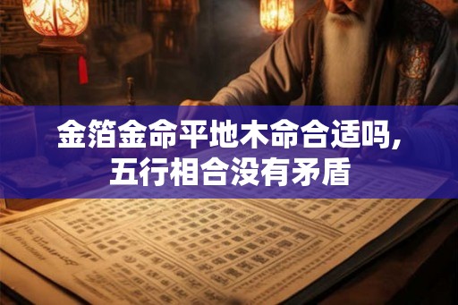 金箔金命平地木命合适吗,五行相合没有矛盾