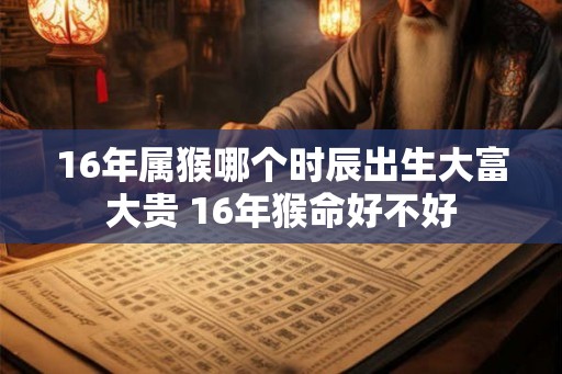 16年属猴哪个时辰出生大富大贵 16年猴命好不好