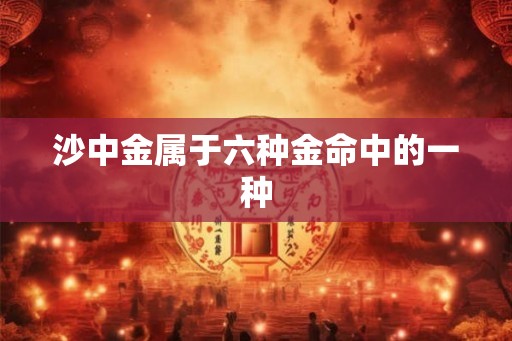 沙中金属于六种金命中的一种