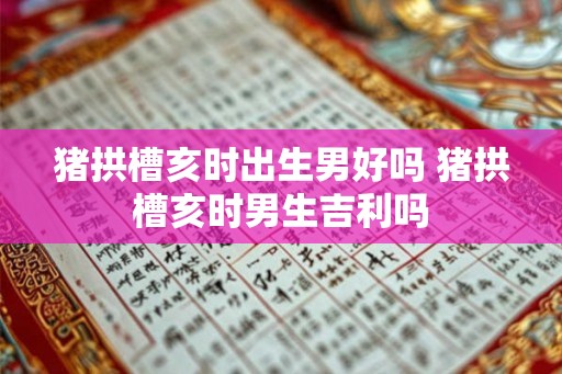 猪拱槽亥时出生男好吗 猪拱槽亥时男生吉利吗