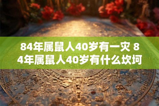 84年属鼠人40岁有一灾 84年属鼠人40岁有什么坎坷