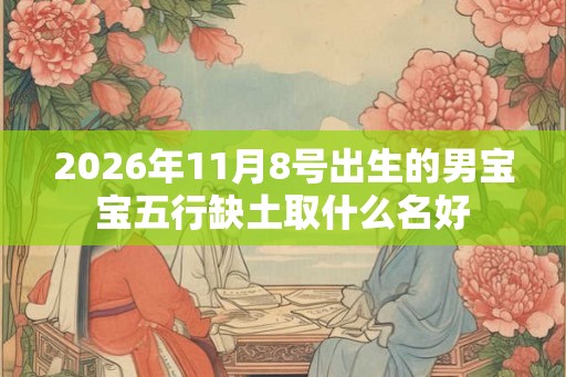 2026年11月8号出生的男宝宝五行缺土取什么名好