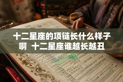 十二星座的项链长什么样子啊  十二星座谁越长越丑