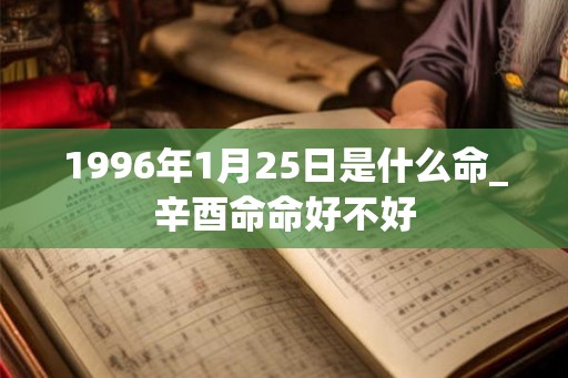 1996年1月25日是什么命_辛酉命命好不好