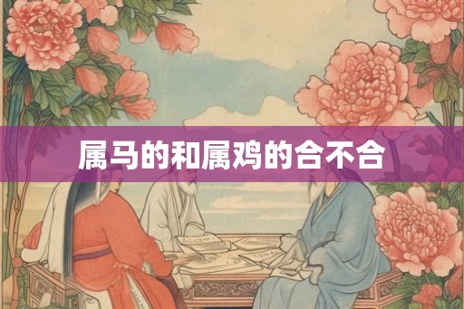 属马的和属鸡的合不合