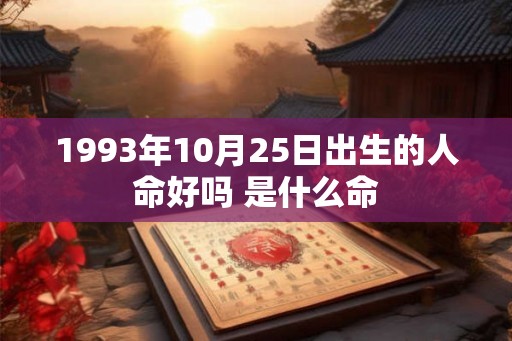 1993年10月25日出生的人命好吗 是什么命