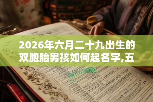 2026年六月二十九出生的双胞胎男孩如何起名字,五行属什么？
