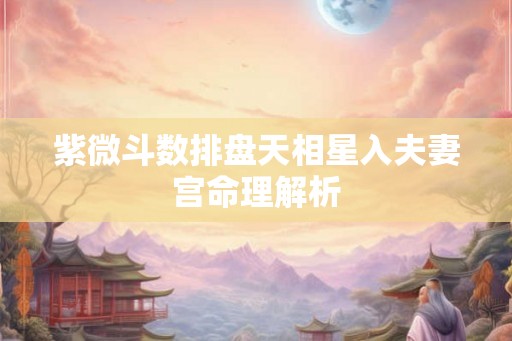 紫微斗数排盘天相星入夫妻宫命理解析