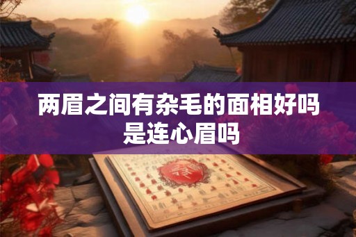 两眉之间有杂毛的面相好吗 是连心眉吗 两眉之间有杂毛的面相好吗 是连心眉吗