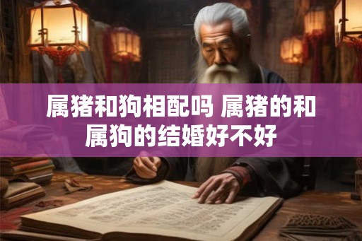 属猪和狗相配吗 属猪的和属狗的结婚好不好 属猪和狗相配吗 属猪的和属狗的结婚好不好