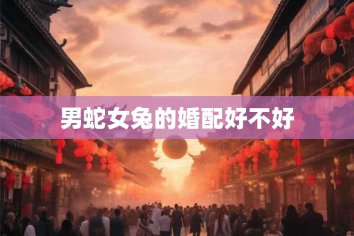 男蛇女兔的婚配好不好