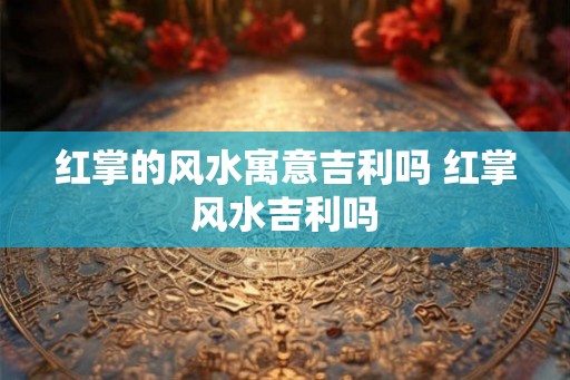 红掌的风水寓意吉利吗 红掌风水吉利吗