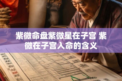 紫微命盘紫微星在子宫 紫微在子宫入命的含义