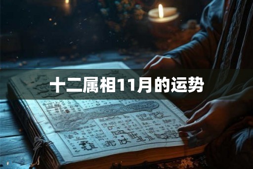十二属相11月的运势