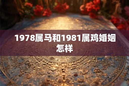 1978属马和1981属鸡婚姻怎样