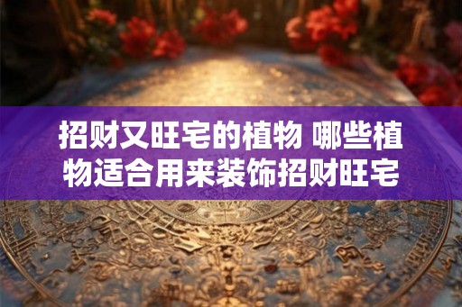 招财又旺宅的植物 哪些植物适合用来装饰招财旺宅