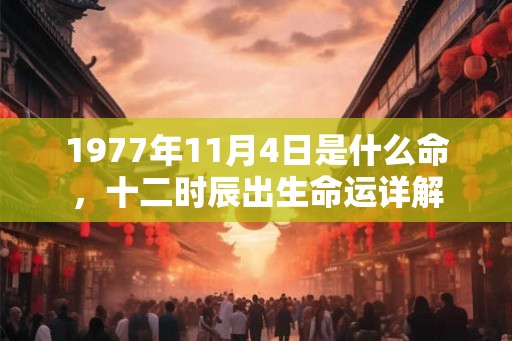 1977年11月4日是什么命，十二时辰出生命运详解