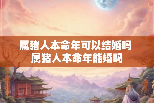 属猪人本命年可以结婚吗 属猪人本命年能婚吗