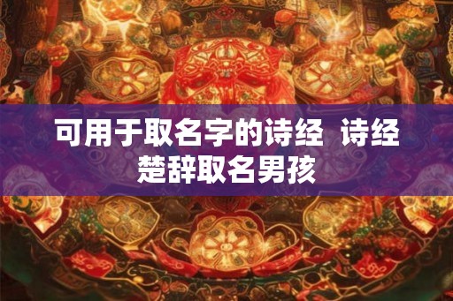 可用于取名字的诗经  诗经楚辞取名男孩