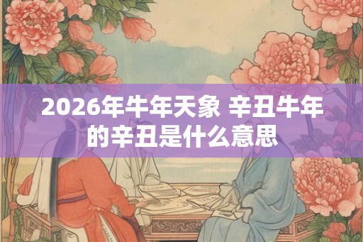 2026年牛年天象 辛丑牛年的辛丑是什么意思