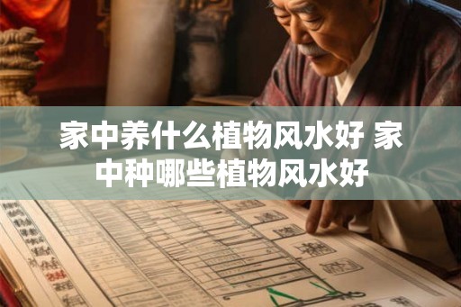 家中养什么植物风水好 家中种哪些植物风水好