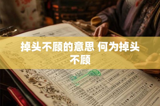 掉头不顾的意思 何为掉头不顾