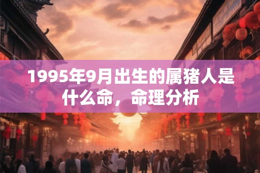 1995年9月出生的属猪人是什么命，命理分析