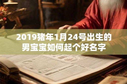 2019猪年1月24号出生的男宝宝如何起个好名字