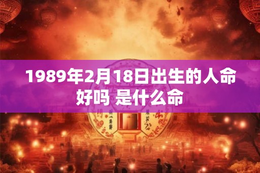 1989年2月18日出生的人命好吗 是什么命