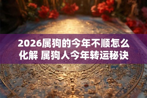 2026属狗的今年不顺怎么化解 属狗人今年转运秘诀