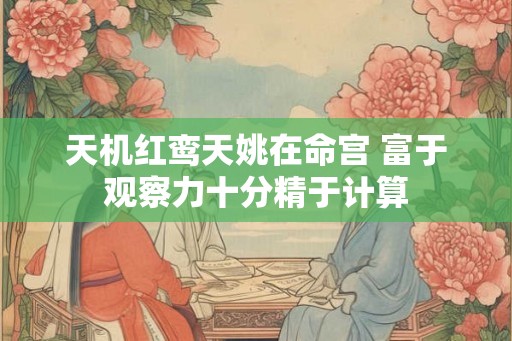 天机红鸾天姚在命宫 富于观察力十分精于计算
